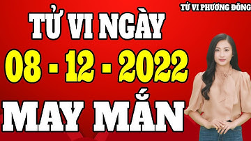 Tử vi hôm nay thứ 5 ngày 8/12/2022 của 12 con giáp - Tử Vi Phương Đông