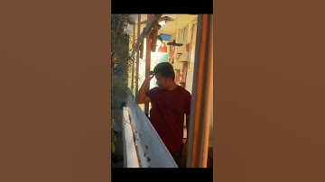 Music is life #music #newmusic #singer #newartist #coversong #sagardibra