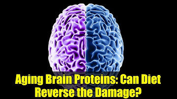 Aging Brain Proteins: Can Diet Reverse the Damage?