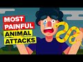 Most Painful Animal Attacks Human Could Ever Endure