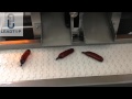 LTRJ 250 Soft Gelatin Encapsulation Machine Soft Capsule Making Machine