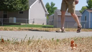 Billings man demands action after TDS Fiber damages green space