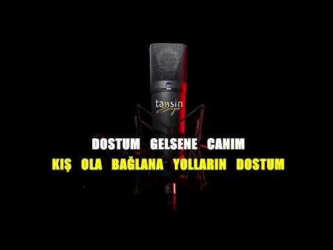 Abdullah Polatçı - Dostum Dostum / Karaoke / Md Altyapı / Cover / Lyrics / HQ