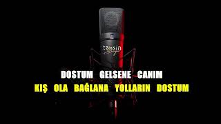 Abdullah Polatçı - Dostum Dostum / Karaoke / Md Altyapı / Cover / Lyrics / HQ
