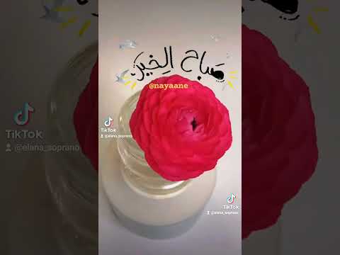 صباحكم بلون الفيروز