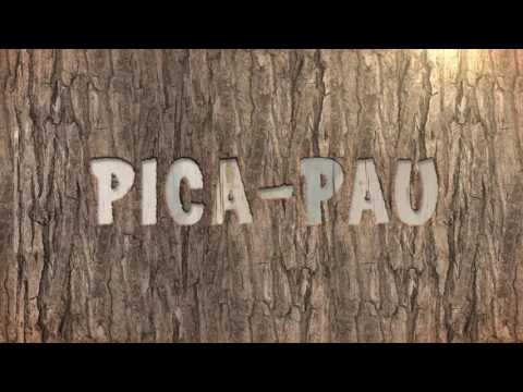 Pica-Pau - Teaser Trailer