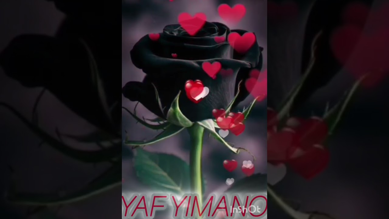 Liyo kacnuh kômo roora masilaalita  kukacnu loqo kuntih adda wagtah bar anu inni dabqah orba 