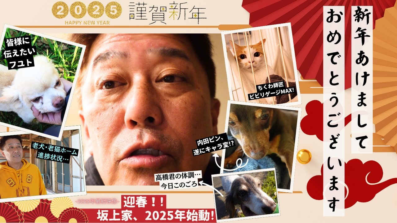 【謹賀新年】2025年坂上家始動開始!~フユトが伝えたいこと、高橋君の体調、老犬ホーム進捗状況、etc...~