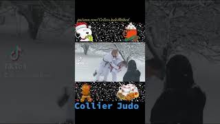 Heavy Judo Action in heavy snow