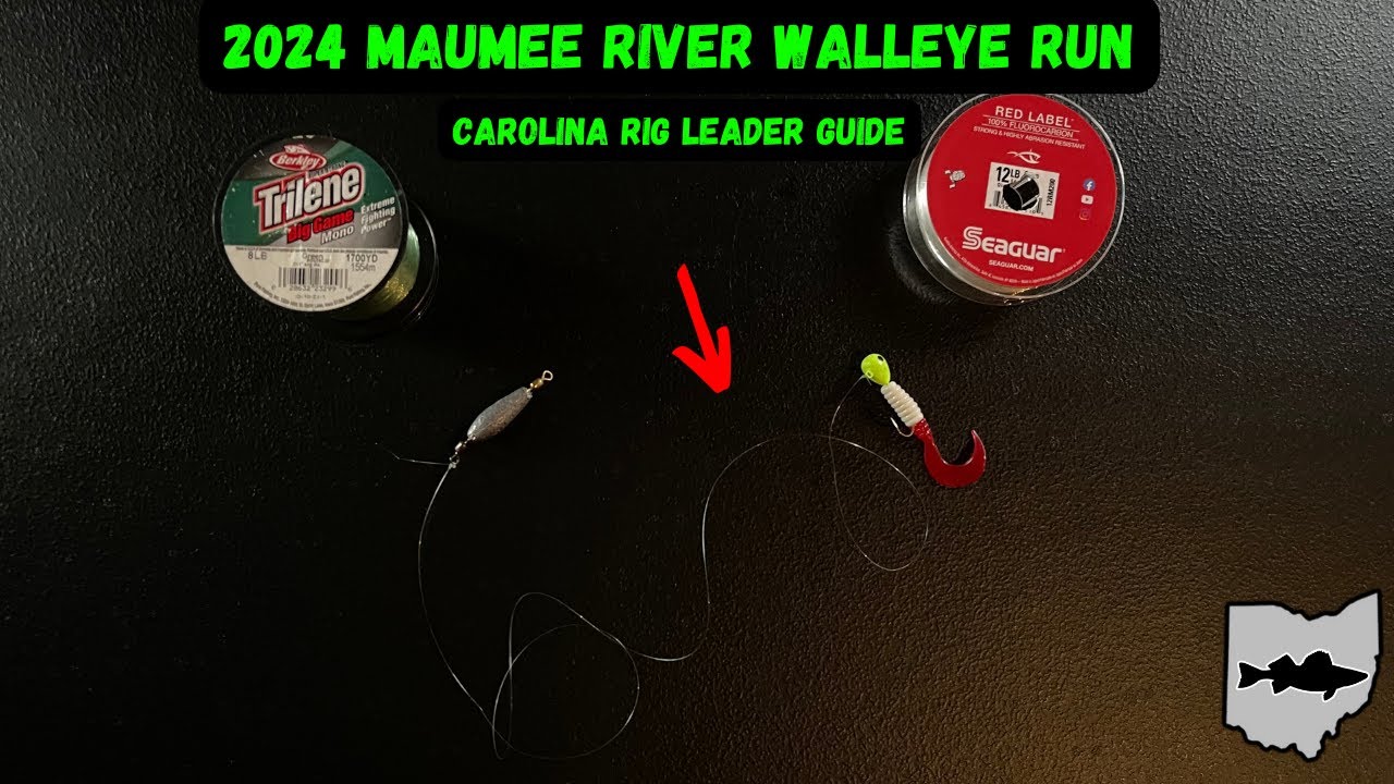 Maumee River Walleye Run 2024 - Carolina Rig Leader Guide 