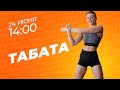Жиросжигающая тренировка на все тело по системе ТАБАТА с атлетом Prime Kraft - Анной Комаровой