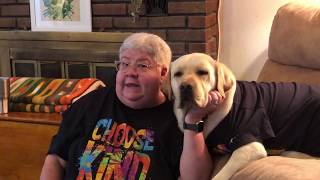 Lager Tails Tiny T Rex