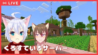 【くろすているサーバー】さばくとラクダ　イヌとネコ【#くろすている】