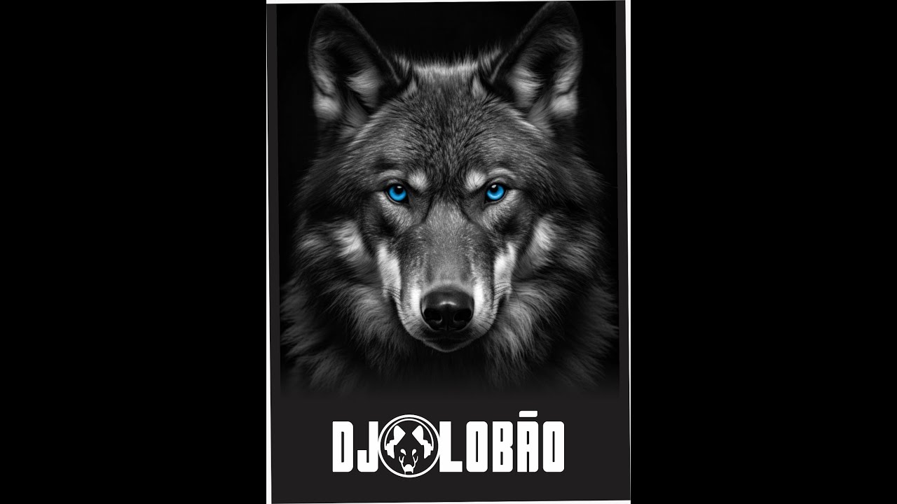 ⁣Dee Jay Lobão - Megamix Flash House