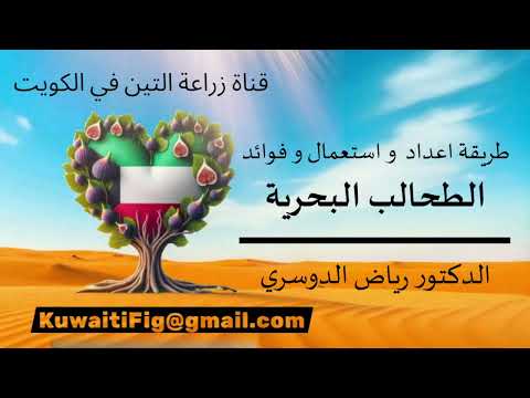 طريقة اعداد و استعمال و فوائد الطحالب البحرية