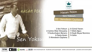 Hasan Pekin - Neredesin Gaybana