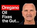 Fix the Gut Bacteria: FASTEST Way to Repair the Gut (Without Probiotics)