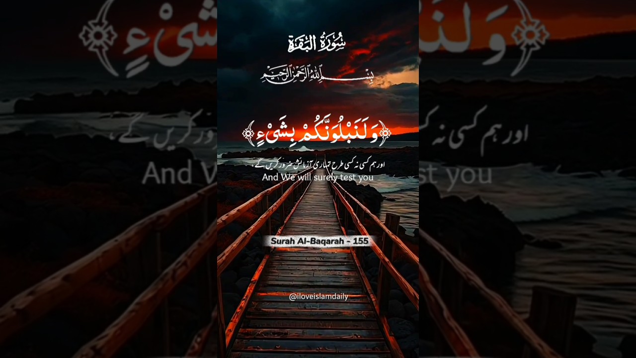 Surah Al-Baqara | سورة البقرة Protection, Guidance & Blessings 