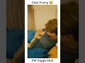 Cats Funny 😂 #shorts #funnycats