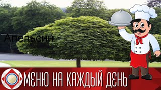 Апельсин