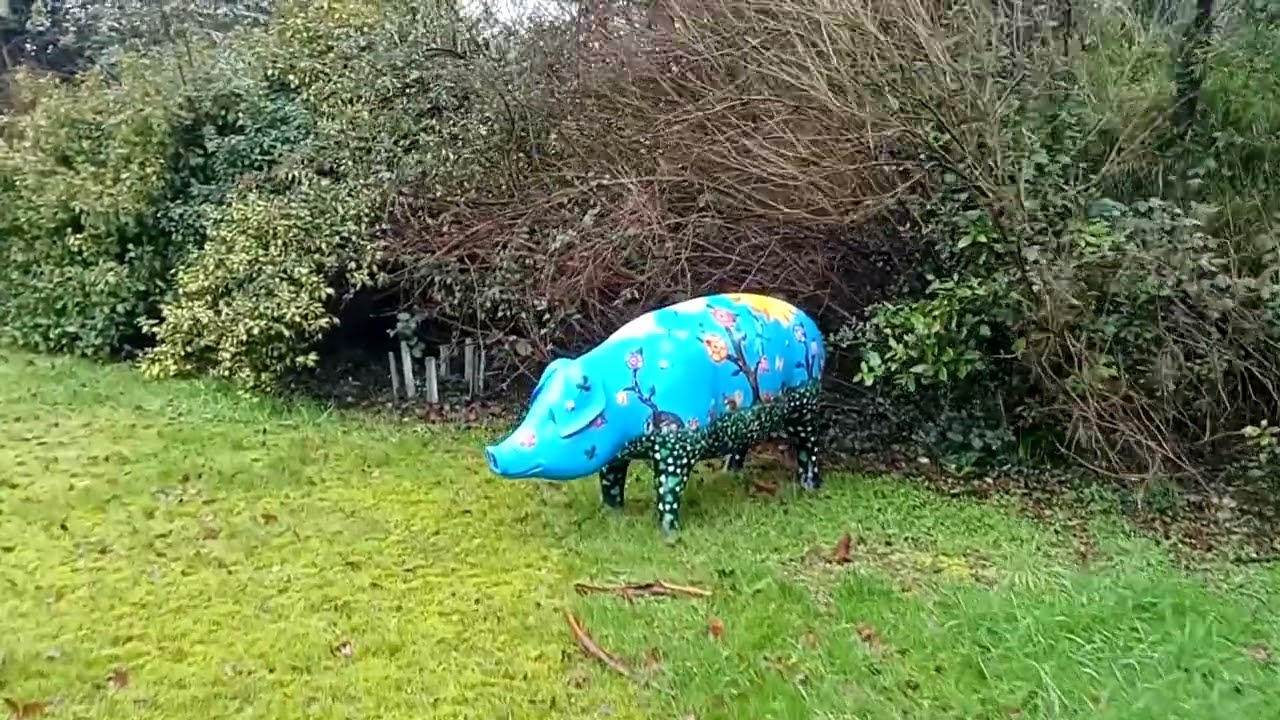 My mother's garden using DJI Osmo Mobile SE Gimbal stabilizer