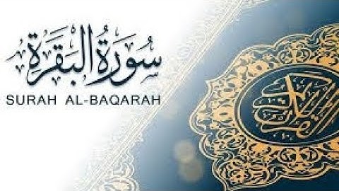 الصفحة 8 من سورة البقرة بصوت الشيخ ياسر الدوسري