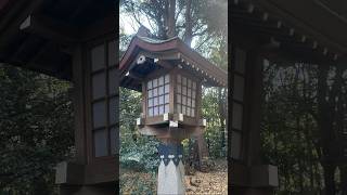 POV: You step into Tokyo’s most spiritual hidden sanctuary 🇯🇵⛩️