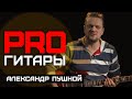 Александр Пушной // PRO Гитары // НАШЕ
