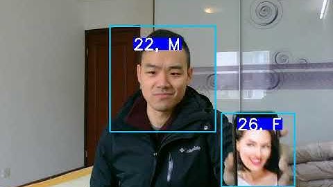 Real time gender age prediction Webcam
