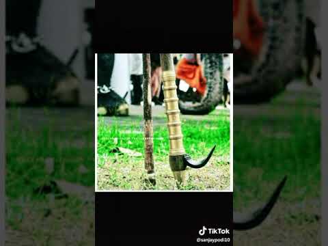 aanachandam