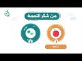 كيف يكون شكر النعمة سلسلة بيان موشن جرافيك