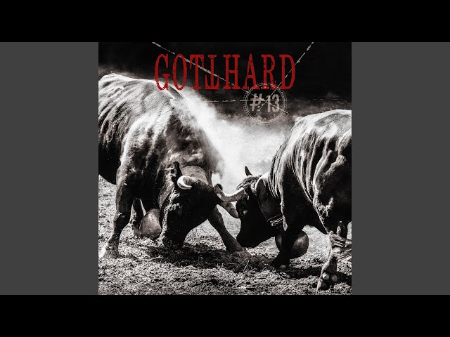 Gotthard - No Time to Cry