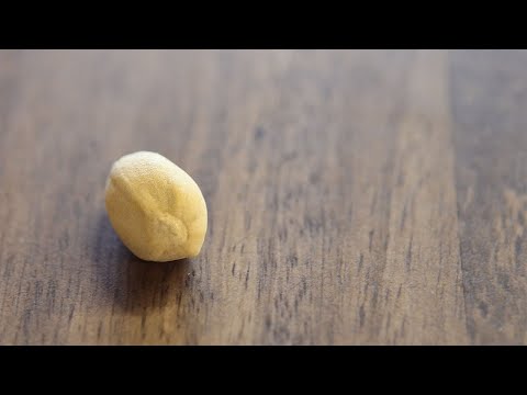That Pistachio is Scared and Alone...