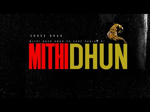 MITHI DHUN LYRICS - Shree Brar