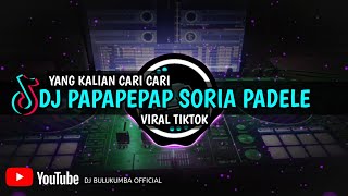 DJ PAP PEP PAP SURIA VADELE VIRAL TIKTOK 2021