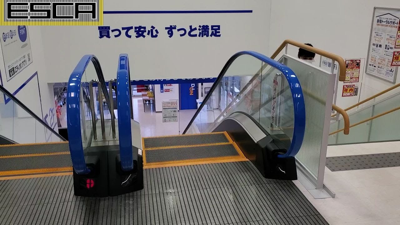 エディオン 豊田四郷店 エスカレーター 2f 1f 東芝 Edion Toyota Shugou Escalator Toshiba Youtube エディオン 豊田四郷店 エスカレーター 2f 1f 東芝 Edion Toyota Shugou Escalator Toshiba Youtube