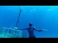 Freediving trip malta