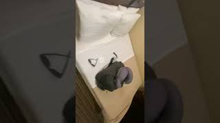 Room at Saint Marks Hotel, East Villiage // NYC Content