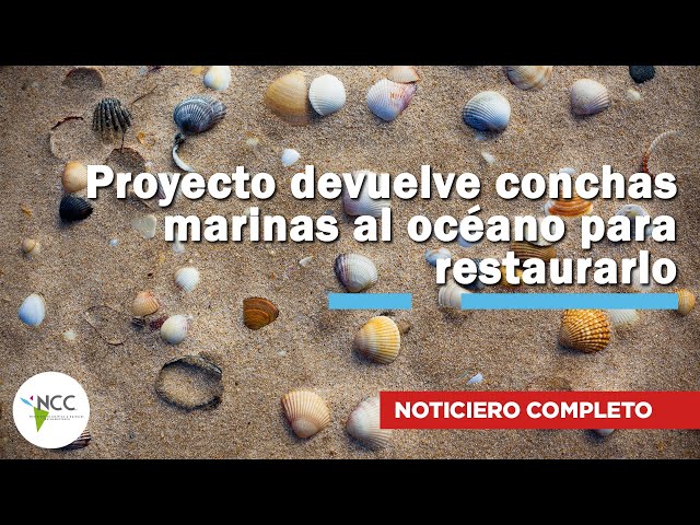 Proyecto devuelve conchas marinas al océano para restaurarlo | 834 | 02 al 08 de febrero 2026