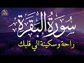 Surah Al Baqarah Full سورة البقره HEART TOUCHING RECITATION Alaa Aqel 