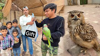 Subscribers Ny Biggest Owl Gift Da Dea