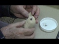 Ed Senninger demonstrates his technique for inserting eyes in bird carvings. Feb. 7, 2017 Ed Senninger demonstrates his technique for inserting eyes in bird carvings. Feb. 7, 2017