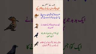 4 Animals That Changed History by Allah’s Command | Islamic Miracles 2026 #didyouknow