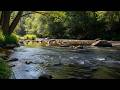 Serene River Flow Sounds 🌿 Natural White Noise for Calm