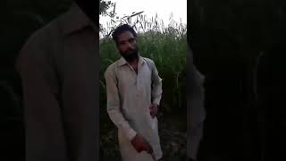 Village Mozalmazara Tehsils Balachaur