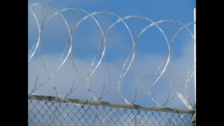 Are Aboriginal Incarceration Rates Evidence of Systemic Racism?