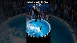 الاوركا يحب جيسيكا ويبتعد عنها حتى لا يضرها#جيسيكا#اورك #oração #jessica