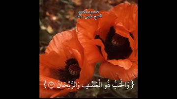 {وَالْحَبُّ ذُو الْعَصْفِ وَالرَّيْحَانُ} الشيخ فارس عباد تلاوه خاشعه حالات واتساب