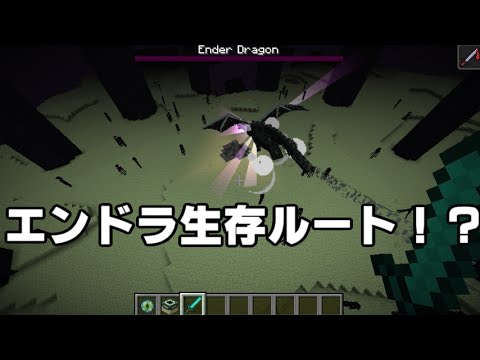 エンドラを倒さずエンドシティに行くことは可能なのか Youtube