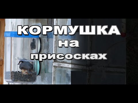 Как сделать кормушку для птиц на окно своими руками